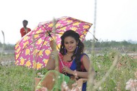 Accident Movie Photos